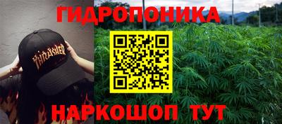 крисы Малгобек