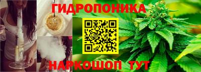 крисы Малгобек