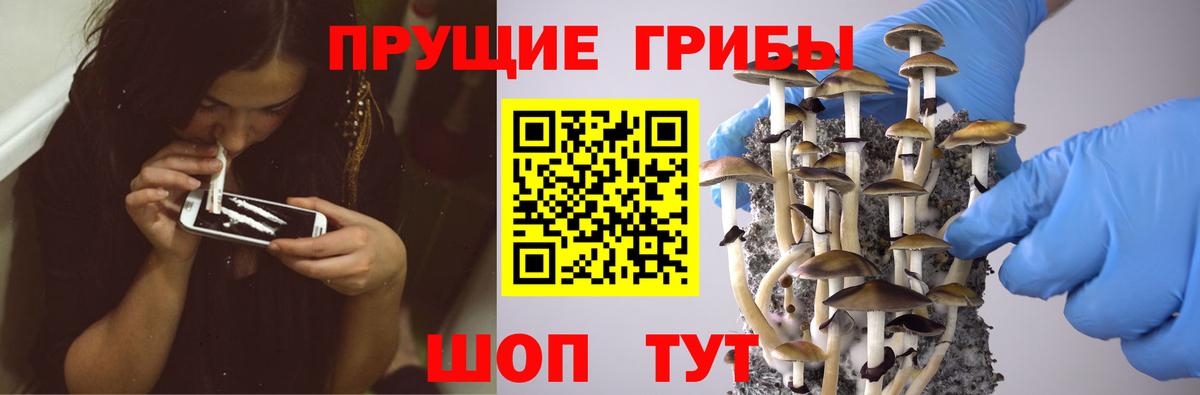 Псилоцибиновые грибы MAGIC MUSHROOMS  Вход с VPN  Десногорск 